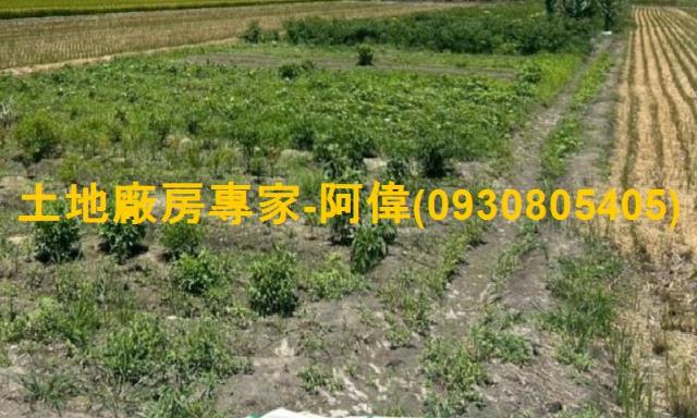 大寮農地-0