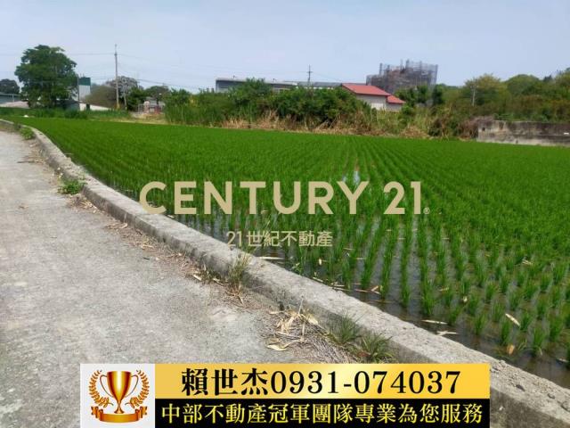南投農地-12