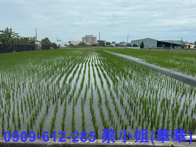 高雄橋頭農地-1
