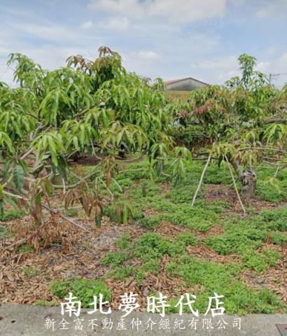 楠西建地-4