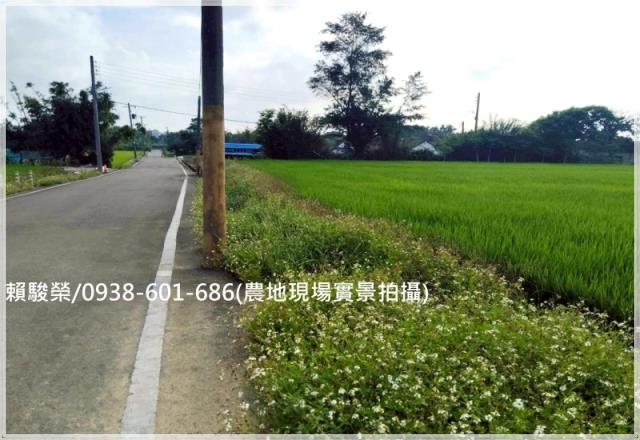 新屋北湖國小便宜農地