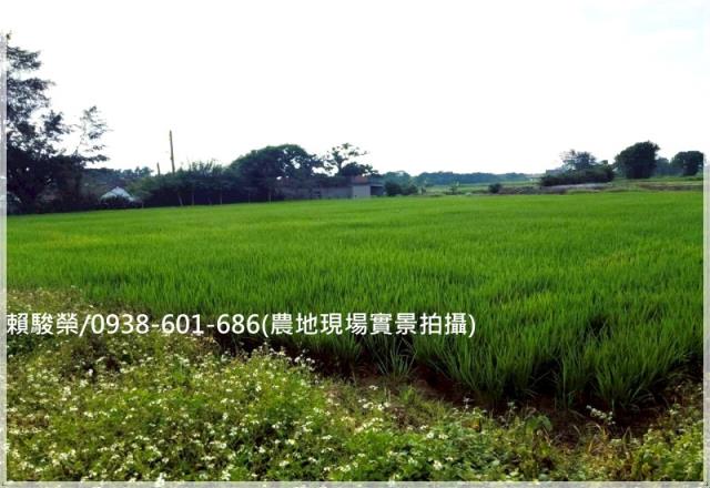 新屋北湖國小便宜農地