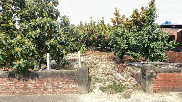 麻豆建地-12