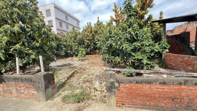麻豆建地-8