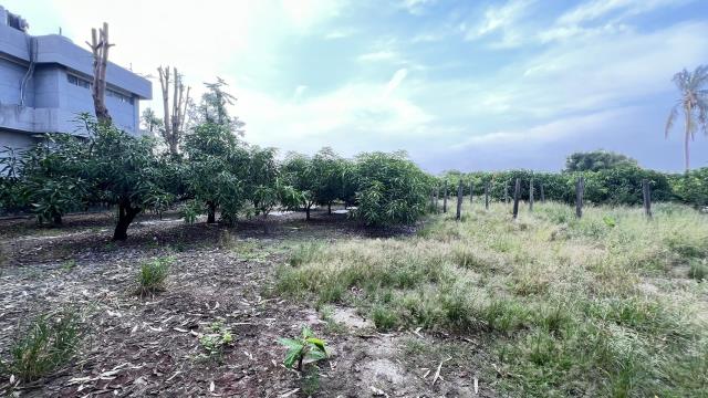 岡山農地-6