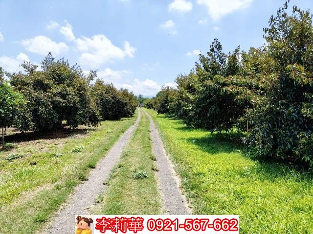 台南大內農地-2