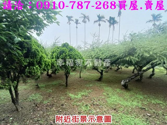 雲林古坑農地-12