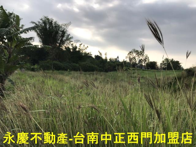 左鎮農地-0