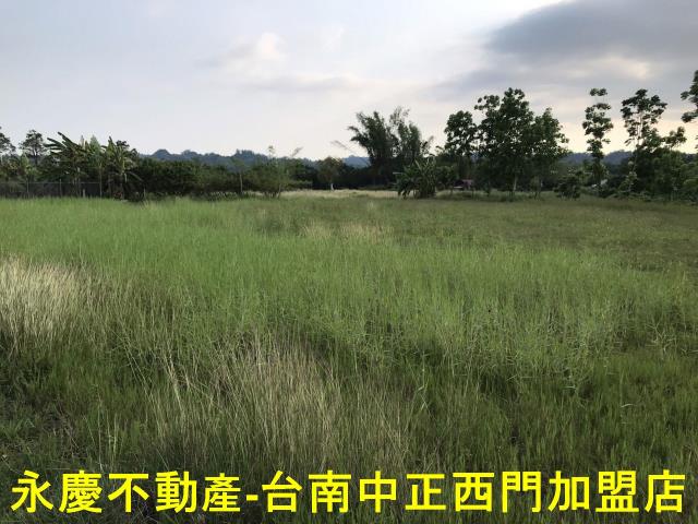 左鎮農地-2
