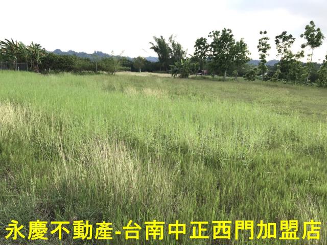 左鎮農地-4