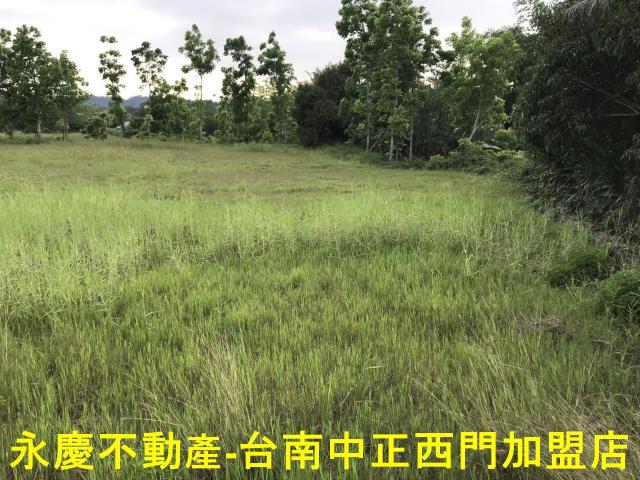 左鎮農地-5