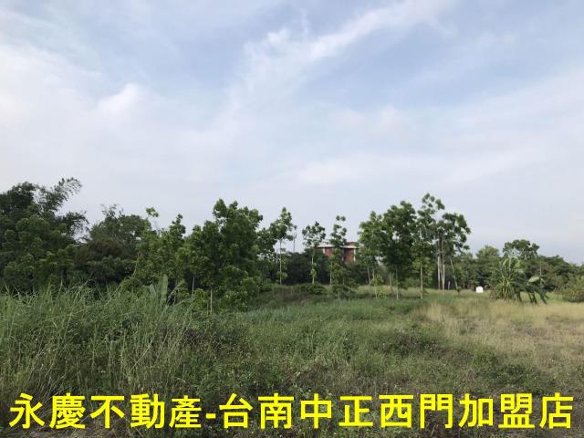 左鎮農地-6