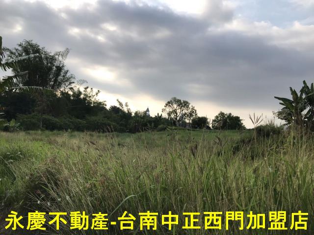 左鎮農地-7