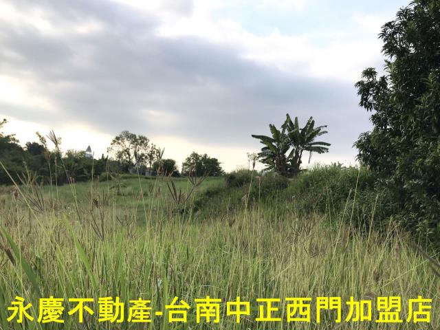 左鎮農地-8