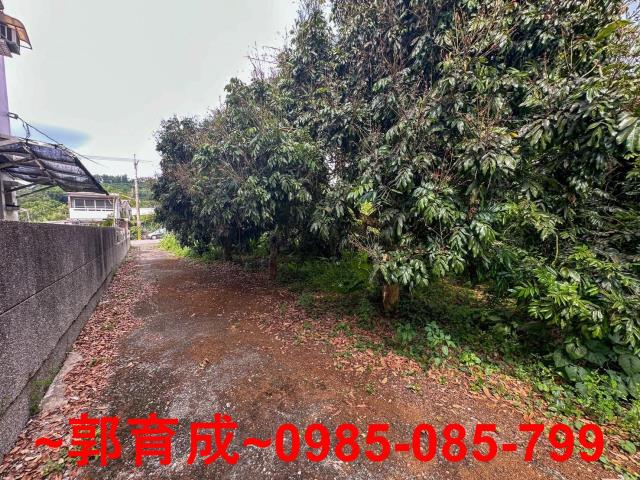 嘉義農地-9
