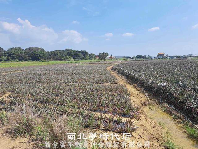 台南關廟農地-0