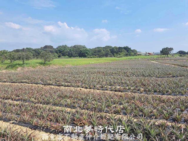 台南關廟農地-2