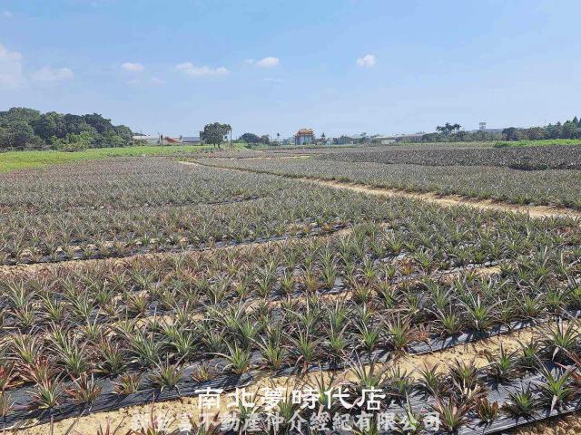 台南關廟農地-3