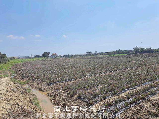 台南關廟農地-4