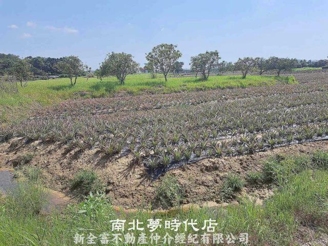 台南關廟農地-6