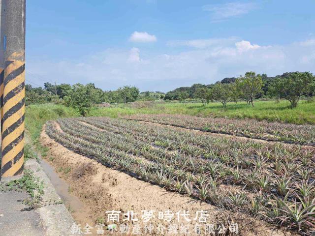 台南關廟農地-7