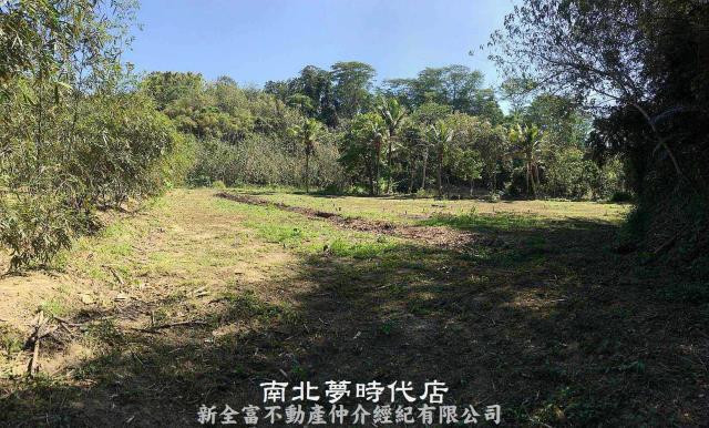 台南新化農地-2