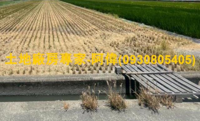 高雄林園農地-0