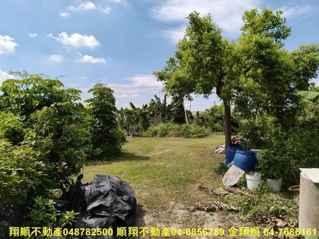 溪州農地-8