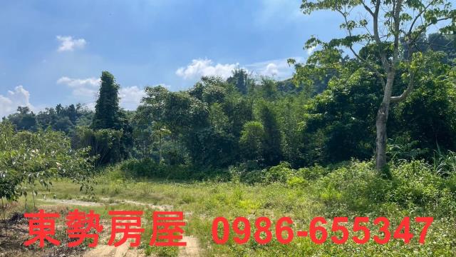 苗栗農地-9