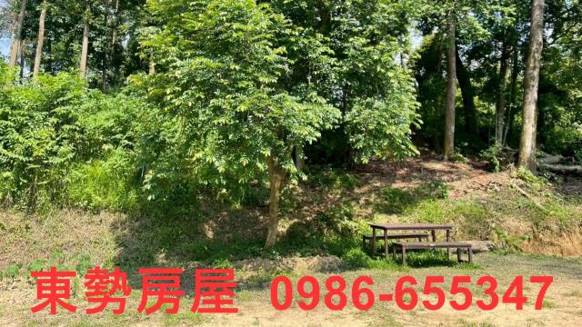 苗栗農地-11