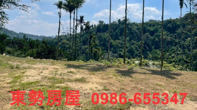 苗栗農地-12