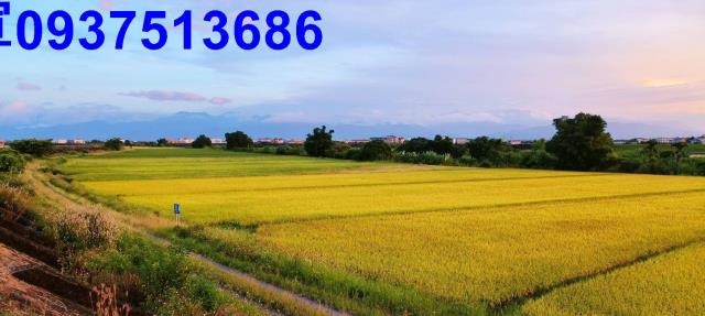 宜蘭壯圍農地-1
