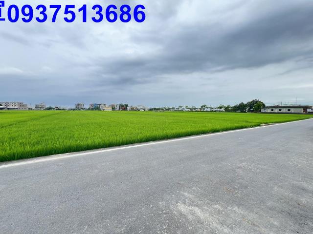 宜蘭礁溪農地-11