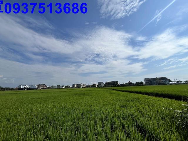 宜蘭壯圍農地-3