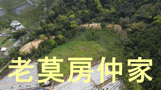 魚池農地-11