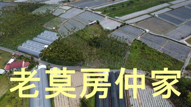 魚池農地-8