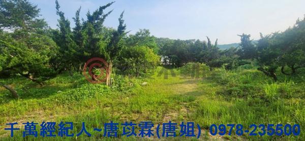 新竹湖口農地-1