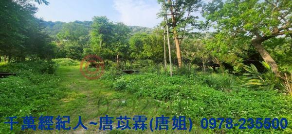 新竹湖口農地-2