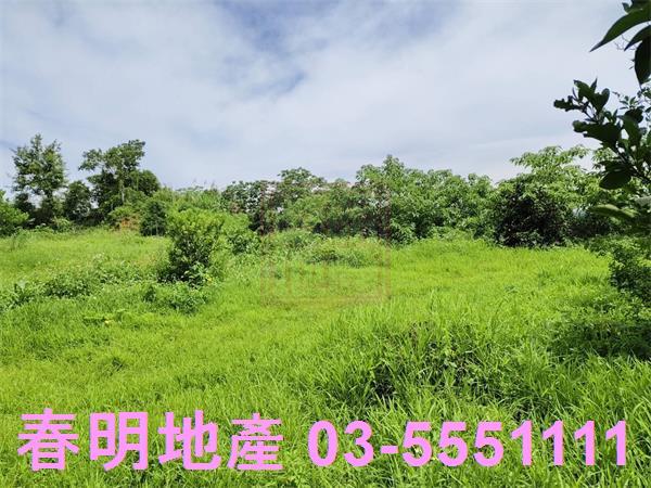 新竹農地-2