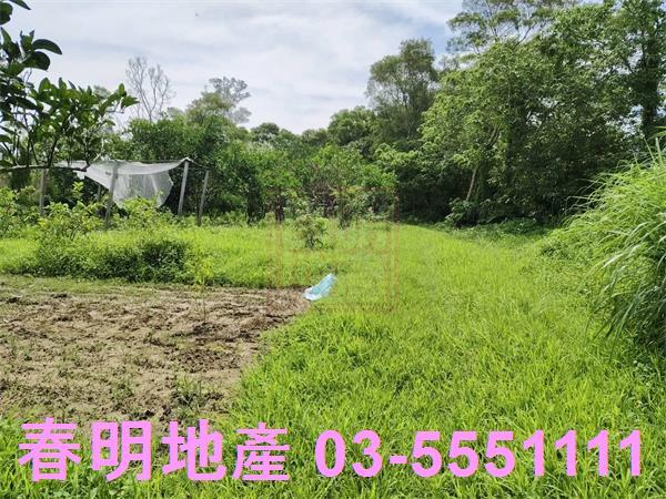 新竹農地-6