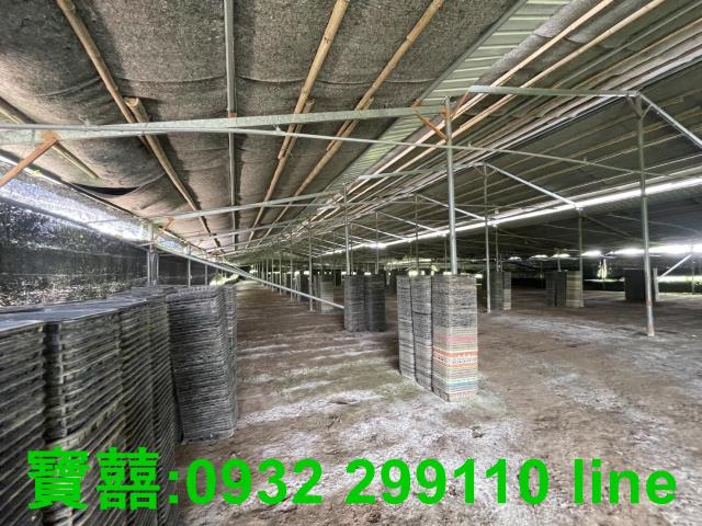 台中新社農地-2