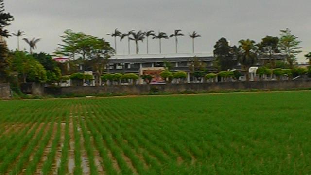 中壢農地-4