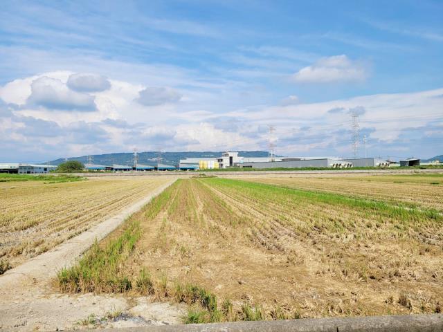 路竹農地-6