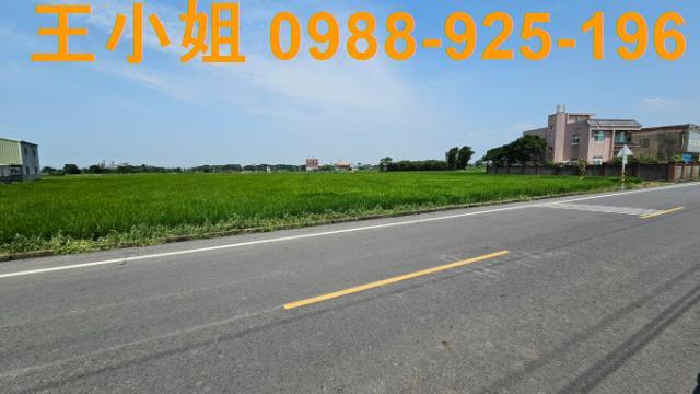 桃園新屋農地-2