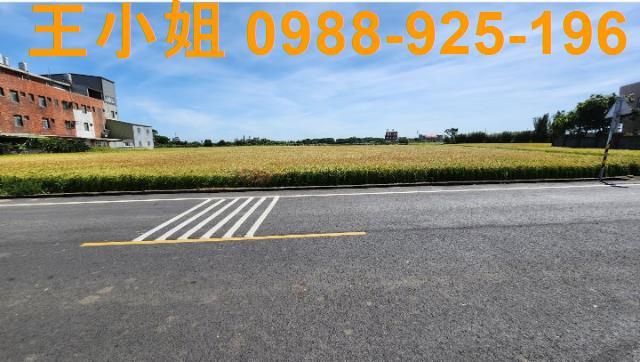 桃園新屋農地-5