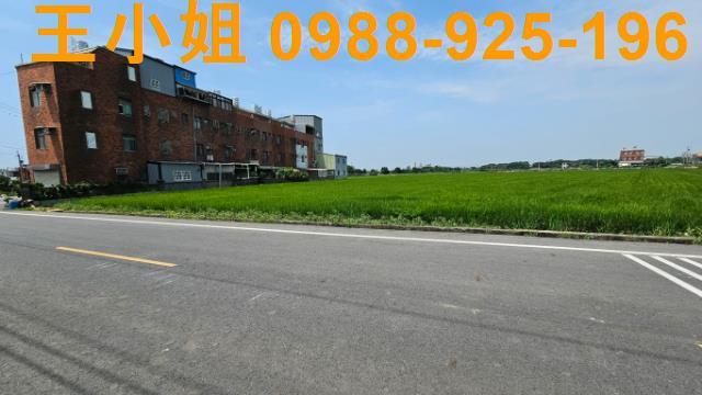 桃園新屋農地-8