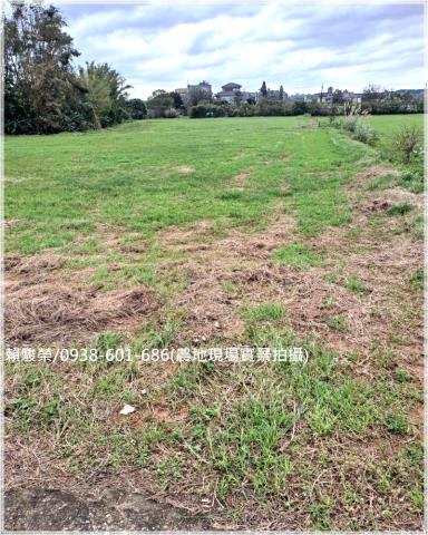 中壢近青埔月眉農地