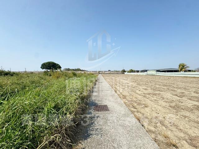 台南安南農地-5