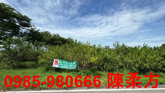 新港農地-10