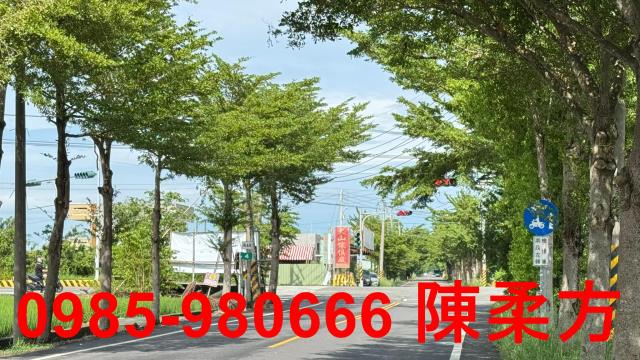 新港農地-11